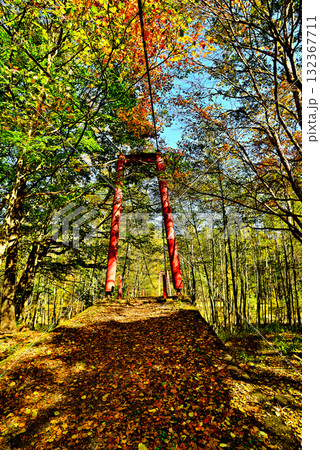 奥日光紅葉　小田代ヶ原 132367711