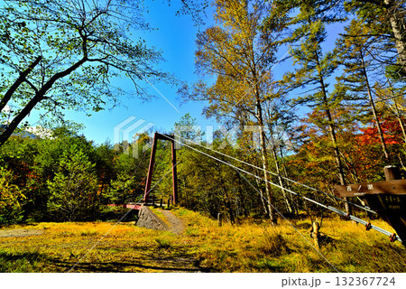 奥日光紅葉　小田代ヶ原 132367724