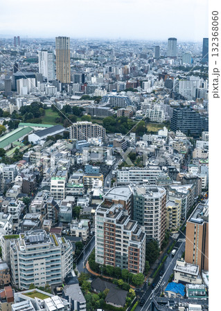 高層ビルから見る雨の日の東京 高層ビルから見る雨の日の東京 132368060