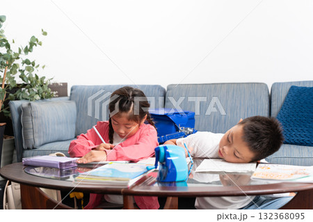 小学生　兄妹　学習 132368095