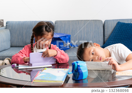 小学生　兄妹　学習 132368098