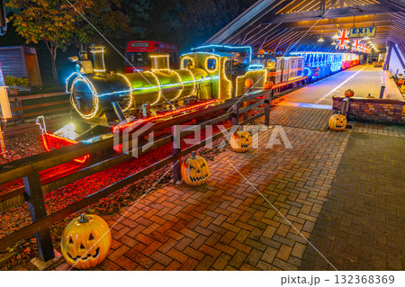 伊豆　修善寺　イルミネーション　機関車　虹の郷　 132368369