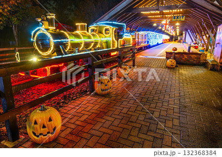 伊豆　修善寺　イルミネーション　機関車　虹の郷　 132368384