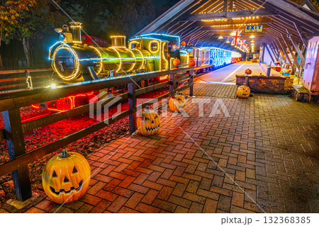 伊豆　修善寺　イルミネーション　機関車　虹の郷　 132368385