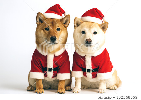 サンタのコスプレをしている犬 132368569