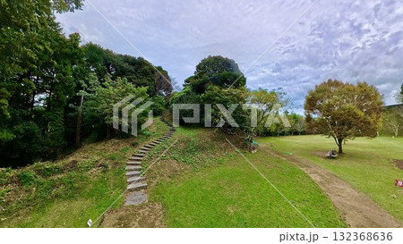 緑のある公園 緑のある公園 132368636
