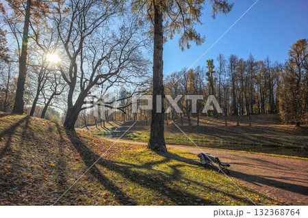 Autumn park alley on sunny day. Autumn park alley on sunny day. 132368764