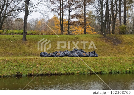 The fallen leaves are collected in bags. The fallen leaves are collected in bags. 132368769
