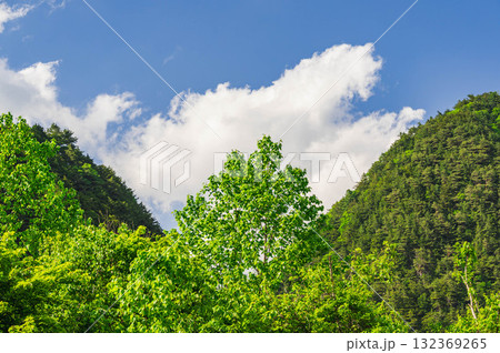 新緑の山と青空 新緑の山と青空 132369265