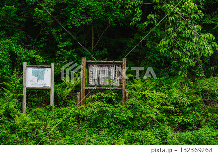 小木曽国有林 132369268