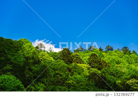 新緑の山と青空 新緑の山と青空 132369277