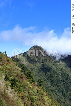 色づく西黒森と瓶ヶ森林道　（高知県　UFOライン） 132369381