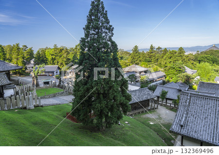 東大寺二月堂　良弁杉・興成神社 132369496