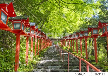 新緑の貴船神社　朱色の灯篭と石段 132369514