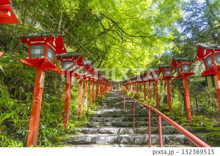 新緑の貴船神社　朱色の灯篭と石段 132369515