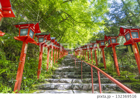 新緑の貴船神社 朱色の灯篭と石段 新緑の貴船神社 朱色の灯篭と石段 132369516