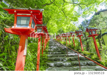 新緑の貴船神社　朱色の灯籠と石段 132369519