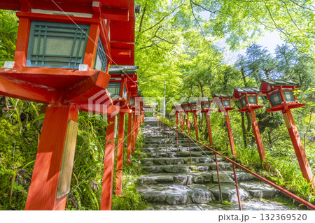 新緑の貴船神社　朱色の灯篭と石段 132369520