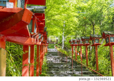 新緑の貴船神社 朱色の灯篭と石段 新緑の貴船神社 朱色の灯篭と石段 132369521