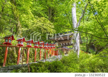 新緑の貴船神社 朱色の灯篭と石段 新緑の貴船神社 朱色の灯篭と石段 132369522