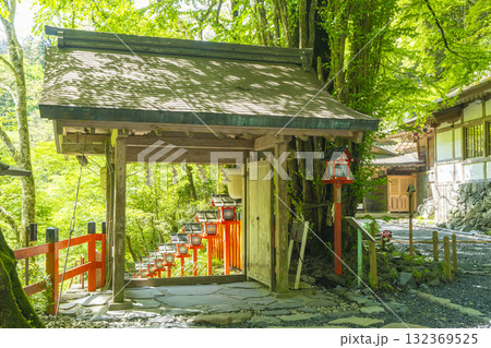 新緑の貴船神社　中門から見える朱色の灯篭と石段 132369525