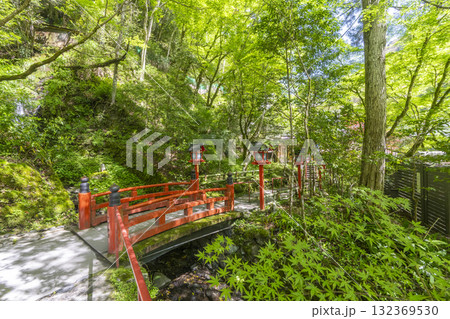 新緑の貴船神社　鈴鹿川に架かる鈴鹿橋 132369530