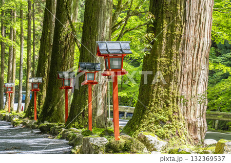 貴船神社 奥宮へ続く新緑に包まれた参道 貴船神社 奥宮へ続く新緑に包まれた参道 132369537
