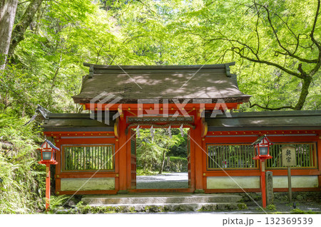 貴船神社奥宮　神門　新緑に包まれた境内 132369539