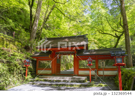 貴船神社奥宮　神門　新緑に包まれた境内 132369544