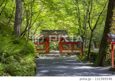 貴船神社奥宮 神門 新緑に包まれた境内 貴船神社奥宮 神門 新緑に包まれた境内 132369546