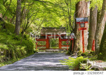 貴船神社奥宮 神門 新緑に包まれた境内 貴船神社奥宮 神門 新緑に包まれた境内 132369547