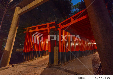 夜の伏見稲荷大社　千本鳥居 132369559