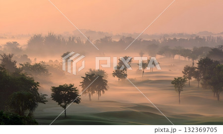 Golf course background early morning mist and soft light Golf course background early morning mist and soft light 132369705