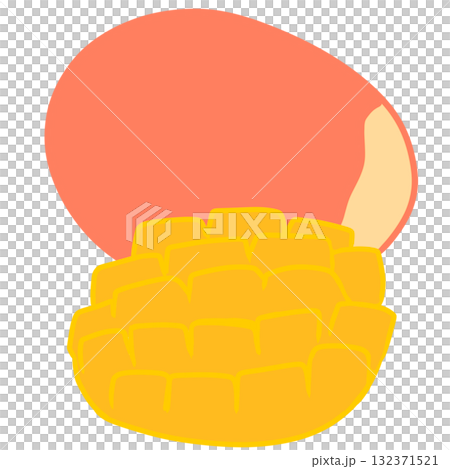 mango fruit mango fruit 132371521