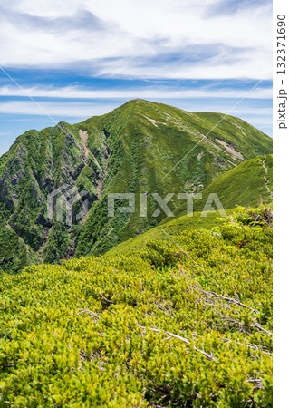 小兎岳の山頂から見る兎岳 南アルプス聖岳と兎岳登山 小兎岳の山頂から見る兎岳 南アルプス聖岳と兎岳登山 132371690