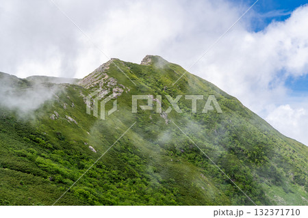 中盛丸山から見る大沢岳　南アルプス聖岳と兎岳登山 132371710