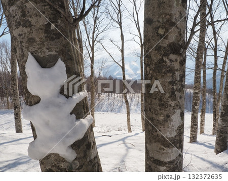 岩岳山頂の雪遊びエリア 132372635