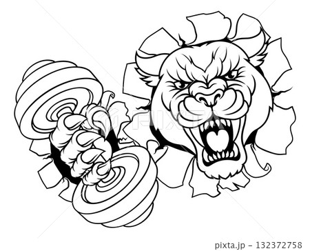 Panther Leopard Cougar Weight Lifting Gym Mascot Panther Leopard Cougar Weight Lifting Gym Mascot 132372758