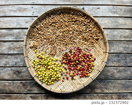 Fresh coffee cherries in vibrant red and yellow hues alongside dried coffee beans displayed on a woven bamboo tray, showing the natural coffee processing stages from fruit to bean 132372902