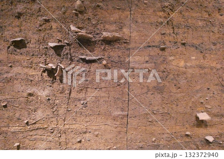 三内丸山遺跡の土盛り断面・再現模型（青森県青森市） 132372940