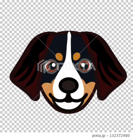 バーニーズマウンテンドッグの顔イラスト 132372980