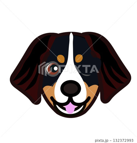 バーニーズマウンテンドッグの顔イラスト バーニーズマウンテンドッグの顔イラスト 132372993