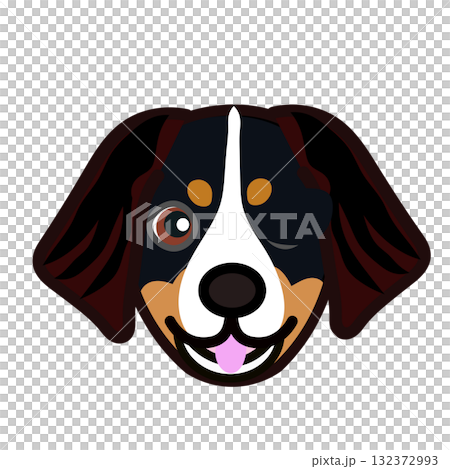 バーニーズマウンテンドッグの顔イラスト バーニーズマウンテンドッグの顔イラスト 132372993