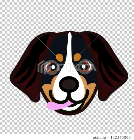 Bernese Mountain Dog Face Illustration Bernese Mountain Dog Face Illustration 132373000