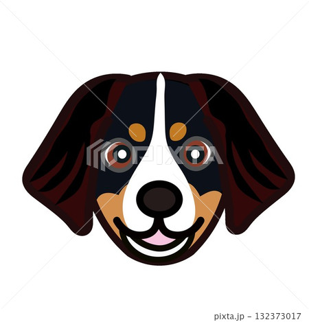 バーニーズマウンテンドッグの顔イラスト 132373017