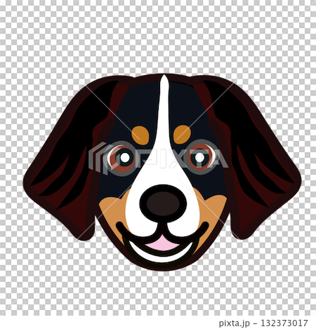 バーニーズマウンテンドッグの顔イラスト 132373017