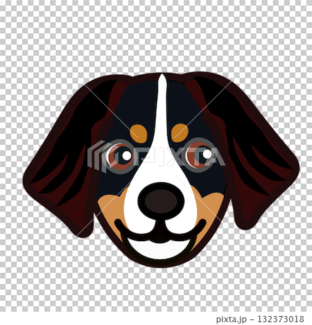 Bernese Mountain Dog Face Illustration 132373018