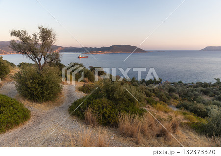 A dirt path winds through dry shrubs toward a calm blue sea. Kas, Turkey 132373320