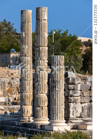 Weathered, fluted stone columns rise from ancient Patara ruins Weathered, fluted stone columns rise from ancient Patara ruins 132373330