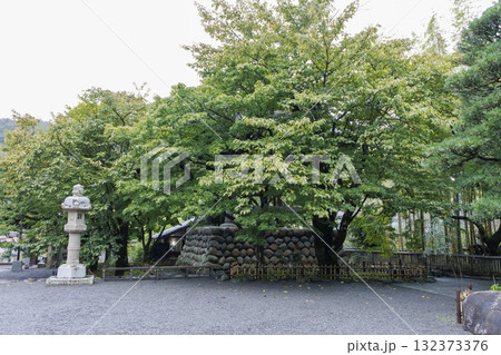 修善寺の初秋 修善寺の初秋 132373376